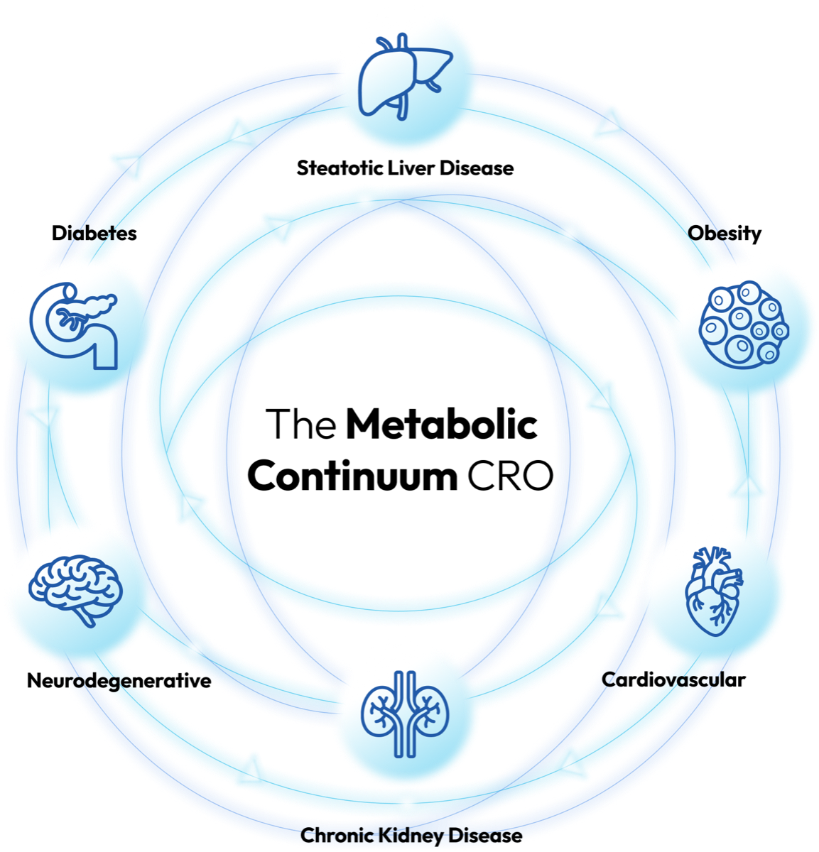 The Metabolic Continuum CRO: diabetes, steatotic liver disease, obesity, cardiovascular, chronic kidney disease and neurodegenerative disease connected in a continuous cycle