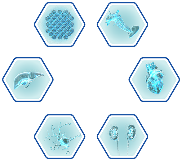 Hex diagram of hexes showing lifeforms in metabolic research